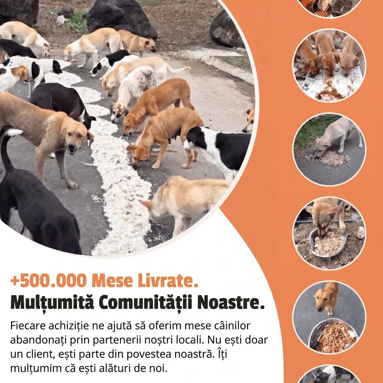 Brățară – Curcubeu de Noapte