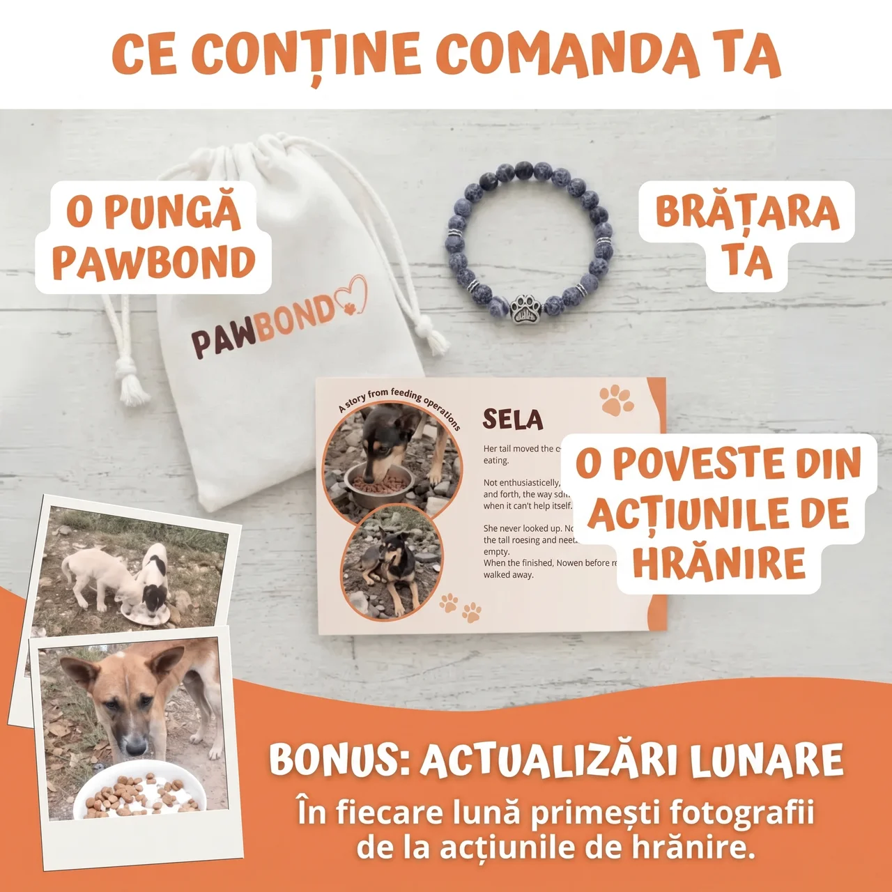 Brățară – Curcubeu de Noapte