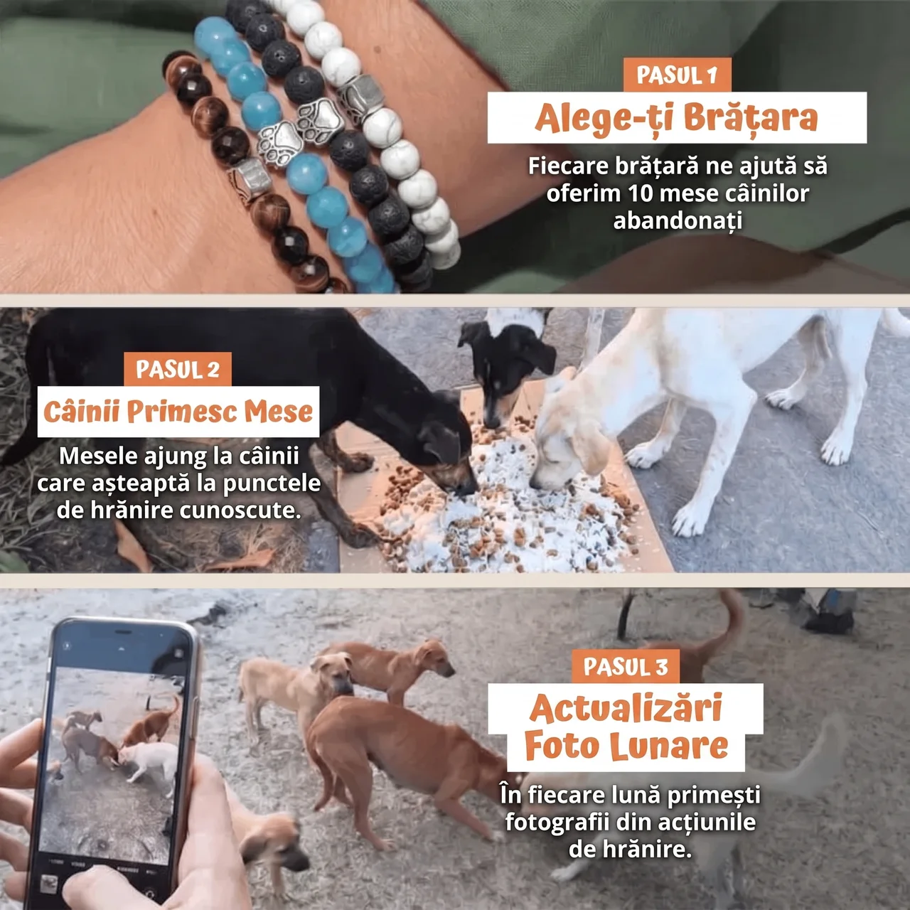 Brățară – Curcubeu de Noapte